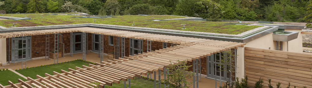 Green Roofing